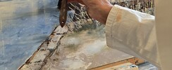 Artistes Peintres Côte d’Amour APCA - atelier de peinture en petits groupes tous niveaux 
