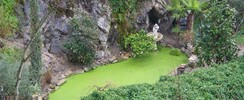 Visites Guidées à EDEN PARC/Le Jardin d'EDEN