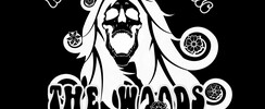 THE WOODS - THE NEW FOLK POWER BAND