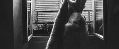 Artiste recherche modèles femmes