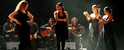 Flamenco à Paris - Spectacles / Animations Flamenco