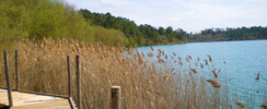 Plage du lac d'Arjuzanx