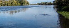 Bateau/ėcolodge sur la Loire