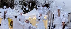 Histoire de voir échassiers - Échassiers blancs lumineux