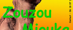 ZOUZOU MIOUKA - MUSIQUE  BERBERE TOUAREG GNAWA LATINO