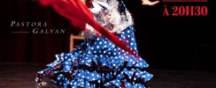 Spectacle Flamenco