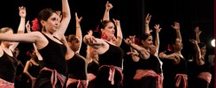 Association pimienta  - cours de flamenco