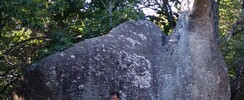 chi gong - qi gong - cours et stage de chi gong