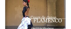  Flamenco Danse - Cours de Danse Flamenco et Guitare Flamenco