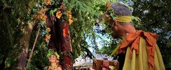 Les Hellébores - Art'monie - Déambulation nature avec échassier