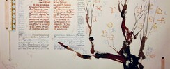 David Schneider  - cours de calligraphie-enluminure