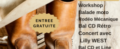 Journée country