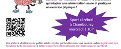 JEUX de MEMOIRE  - Sport cérébral