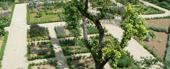 Jardin Médiéval du Barry