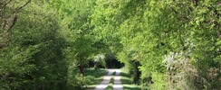 Domaine du Plessis
