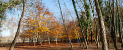 Arboretum