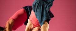 Danse entre cour et jardin - danse contemporaine