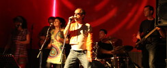DocMartine - concerts rock