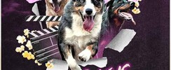 Compagnie Dog Trainer - Les Chiens font leur Cinéma
