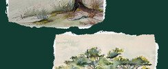 Dominique Massini  - Cours Aquarelle, peinture 
