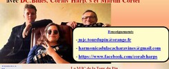 Coraly.Harp.'s and Plooks et HdLC - stage harmonica improvisation blues et rock