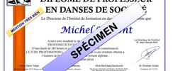I-F-D-S - Formation prof de danse de société
