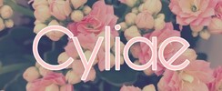 Cyliae  - Cours de couture à domicile