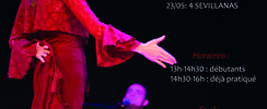 Stages de danse Flamenco Sevillanas