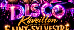 REVEILLON DISCO  PARTY SARTHE