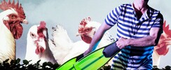 Les 4 saisons de ... mon jardin ! - Spectacle jeune public danse musique image