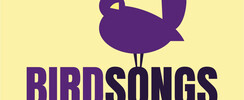 BIRDSONGS - Groupe Pop