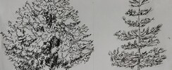 Stage de dessin du paysage