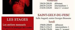 Cours de flamenco Gard et Hérault : La Pescaora