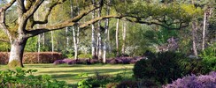 Arboretum des Grandes Bruyères