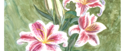 Edmée MALAVAUX - Cours particuliers d'AQUARELLE toute l'année sur RdV