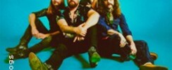 The Sheepdogs