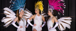 The Secret Cabaret - Spectacle magie & danse