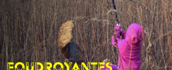 Foudroyantes