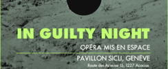 In Guilty Night