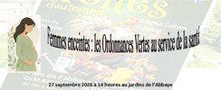 Folies d’Automne moyenmoutier - Vosges