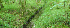 Espace naturel sensible de la Ferté-Vidame