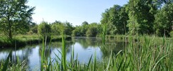 Le site naturel du Moron
