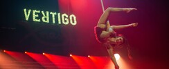 Lorena Menade  - aerial acrobat et celtic harp player 