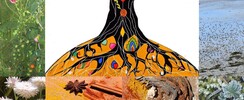 LePigmentier - Cours Dessin Peinture adultes, ados, enfants et Art-thérapie
