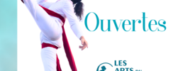 Association les Arts du CIRQUE - Cours aérien et cirque de 3 à 77 ans