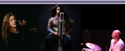 Trio Manazti - Musiques et danses traditionnelles et fusion