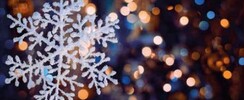 Le Fil à Plomb fait son Marché de Noël !