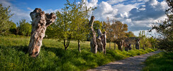 Les trois chemins/Chemin des Trognes