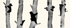 Julia Belle - Série