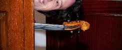 Cours de violon classique, folk, moderne, improvisation et + (VAUD)